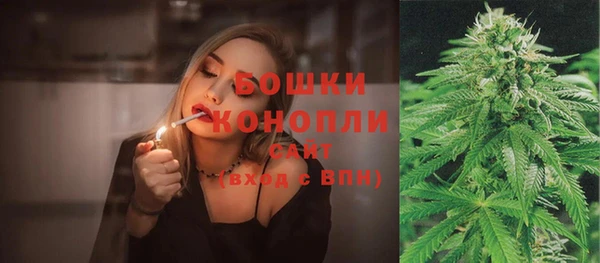 шишки Анива