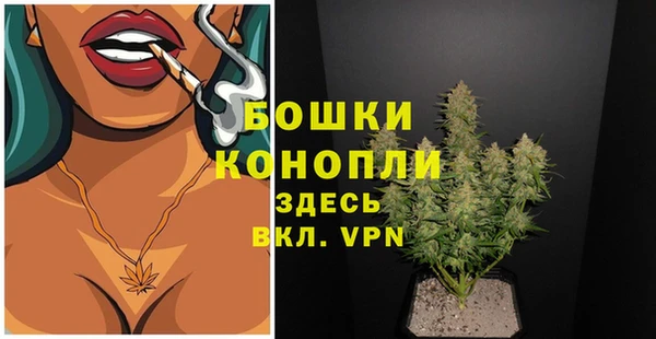 шишки Анива
