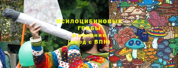 шишки Анива