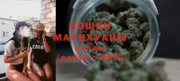 шишки Анива