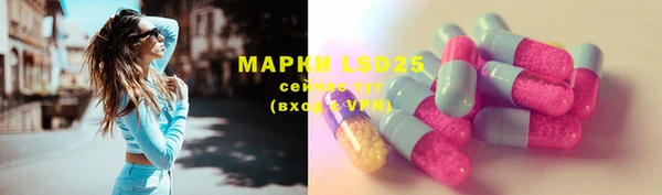 сатива Аксай