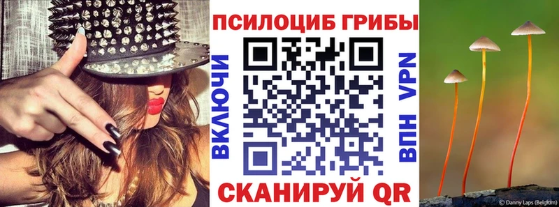 Галлюциногенные грибы мухоморы  мега как зайти  Заволжск 